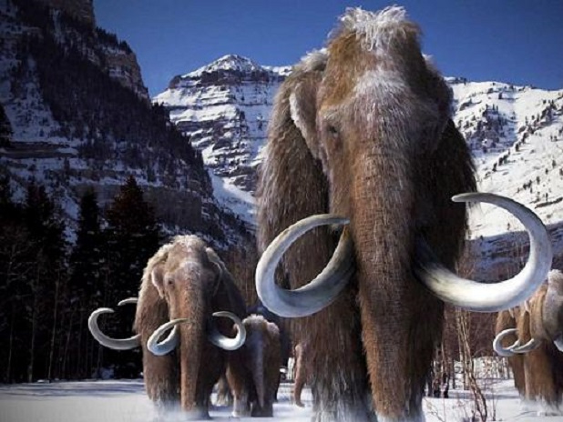 Фото 12