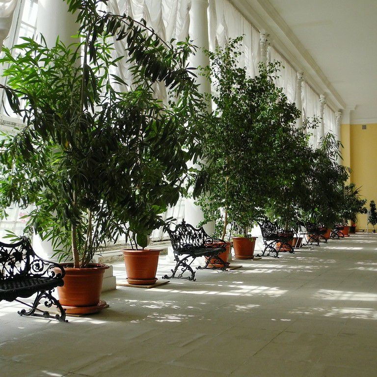 Фото 6