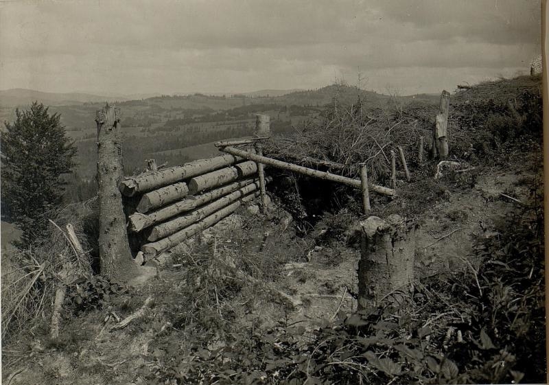 Фото 5