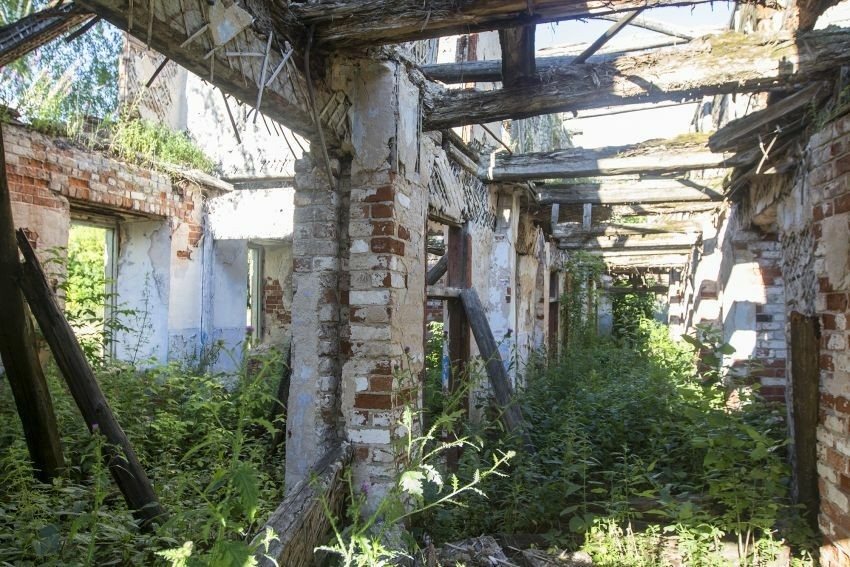 Фото 6