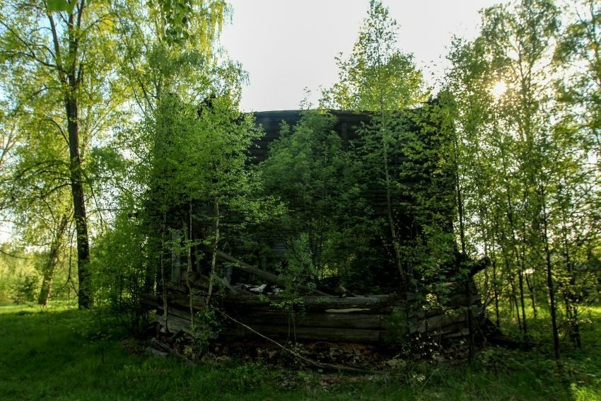 Фото 3