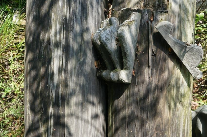 Фото 4