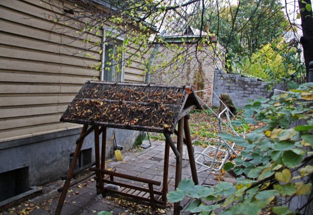 Фото 10