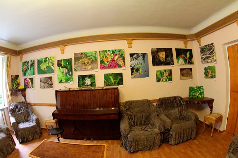 Фото 6