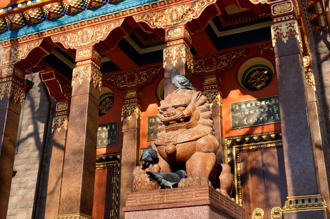 Фото 11