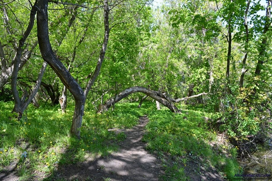 Фото 9