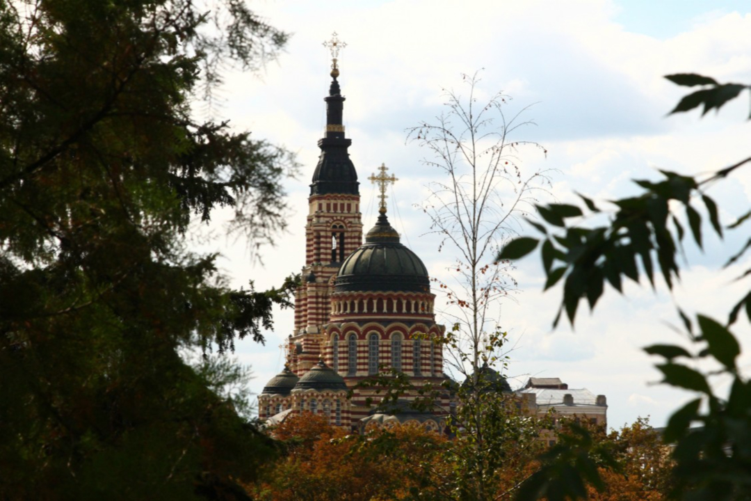 Фото 6
