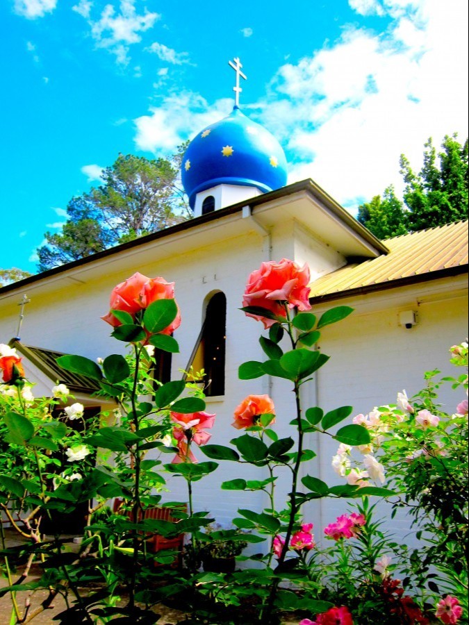 Фото 3