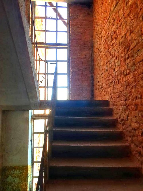 Фото 3
