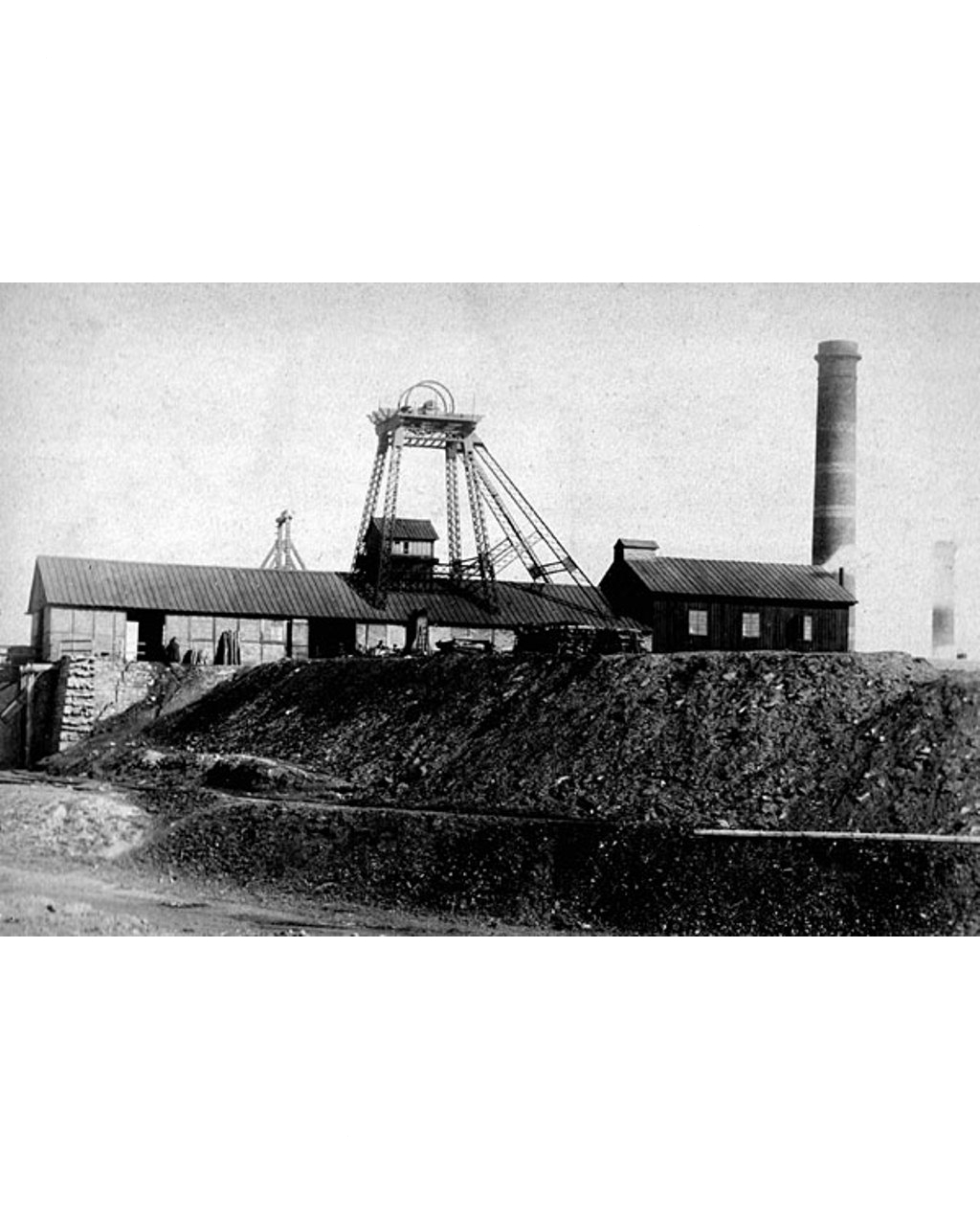 Фото 8