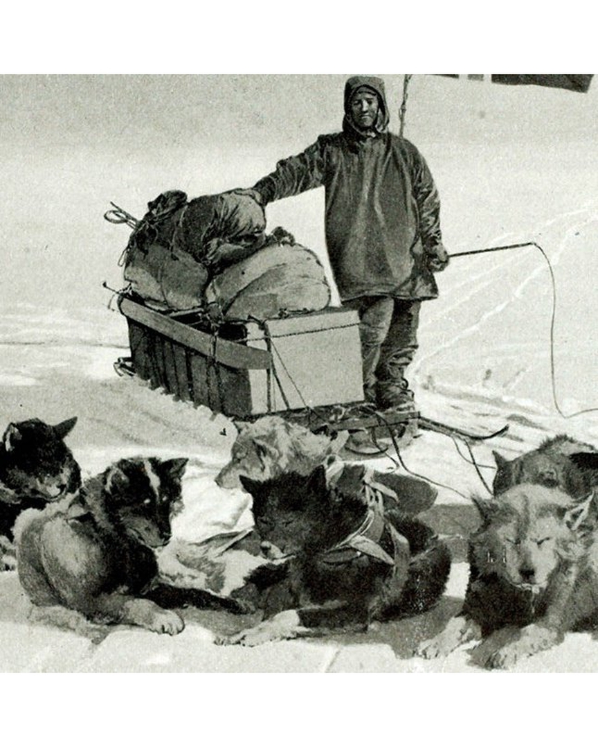 Фото 1