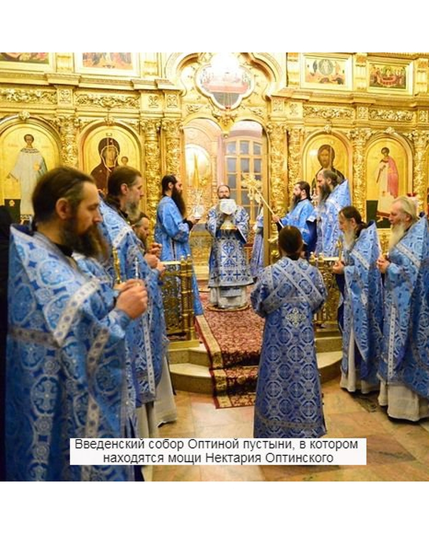 Фото 8