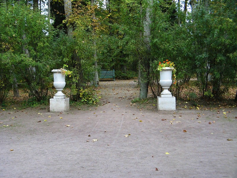 Фото 3